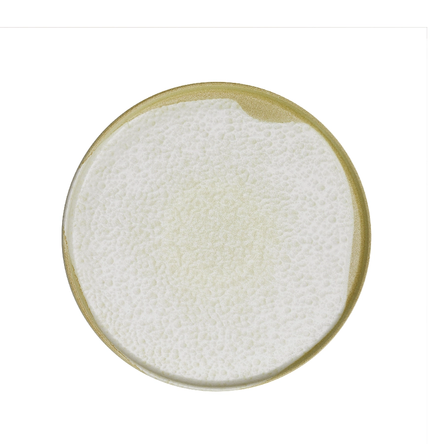 Тарелка Kutahya BNROT24DU890552, D=24см, H=1,8см Тарелка Kutahya BNROT24DU890552, D=24см, H=1,8см