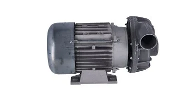 Помпа 12024456 (Z104101000) 60HZ для машины посудомоечной т.м. FAGOR